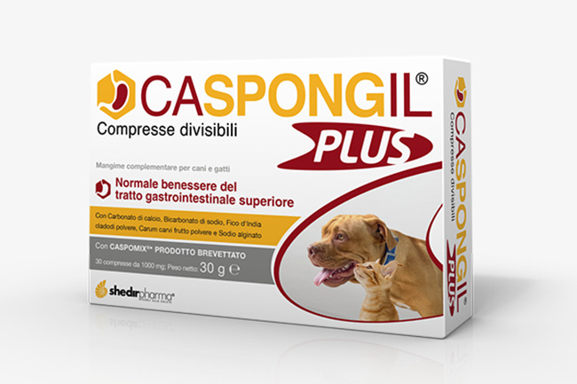 CASPONGIL PLUS 30 COMPRESSE - Metafarm