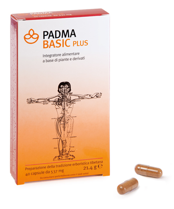 PADMA BASIC PLUS 40 CAPSULE - Metafarm