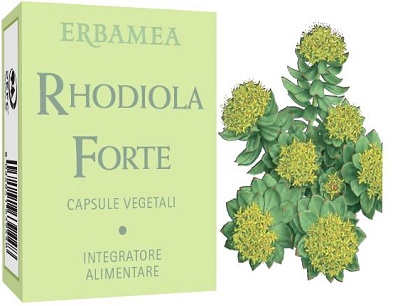 RHODIOLA FORTE 24 CAPSULE - Metafarm