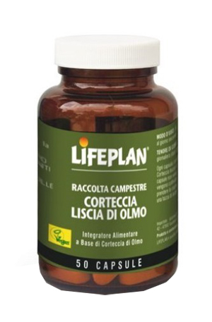 CORTECCIA LISCIA DI OLMO 50 CAPSULE - Metafarm