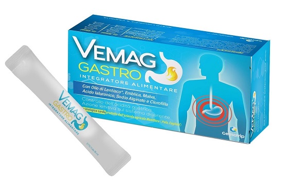 VEMAG GASTRO 20 STICK - Metafarm