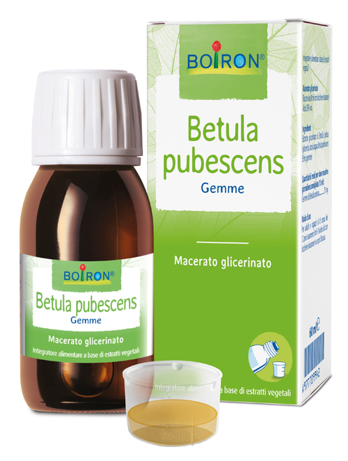BETULA PUBESC BOIRON MACERATO GLICERICO 60 ML - Metafarm