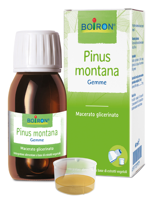 PINUS MONTANA BOIRON MACERATO GLICERICO 60 ML - Metafarm