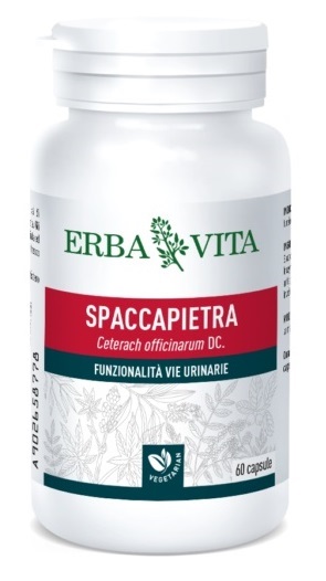 SPACCAPIETRA 60 CAPSULE - Metafarm