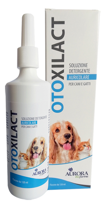 OTOXILACT DETERGENTE AURICOLARE - Metafarm