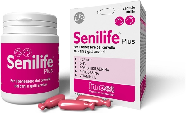SENILIFE PLUS 30 CAPSULE - Metafarm