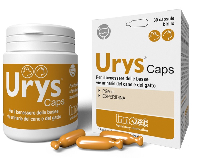 URYS CAPS 30 CAPSULE - Metafarm