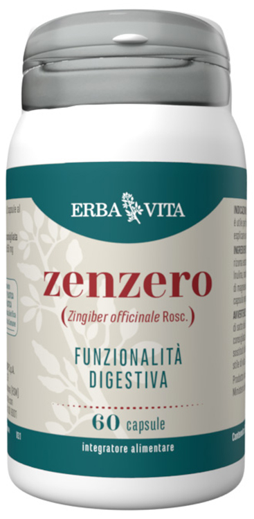 ZENZERO 60 CAPSULE - Metafarm